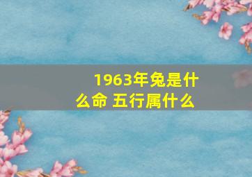 1963年兔是什么命 五行属什么